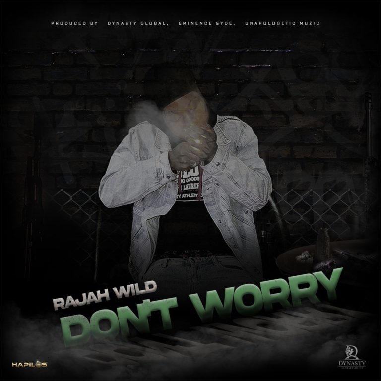 homenaijaflavourpublic_htmlwp-contentuploads202305RajahWild-–-Dont-Worry-mp3downloadhits.jpg