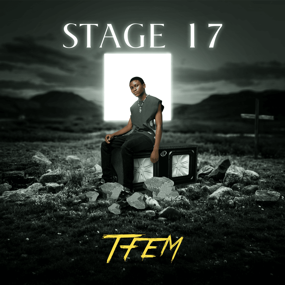 homenaijaflavourpublic_htmlwp-contentuploads202506Tfem-Stage-17-Mp3-Download.png