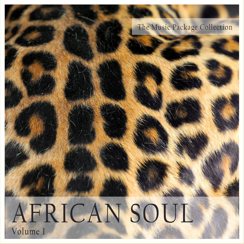 homenaijaflavourpublic_htmlwp-contentuploads202506Varous-Artists-The-Music-Package-Collection-African-Soul-Vol.-1-Mp3-Download.jpg