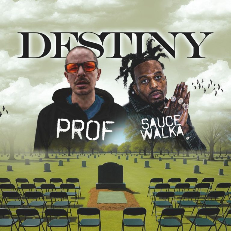 homenaijaflavourpublic_htmlwp-contentuploads202507Prof-Sauce-Walka-Destiny-Mp3-Download.jpeg